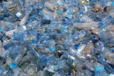 Plastic bottles sorted from the rubbish - click for bigger picture