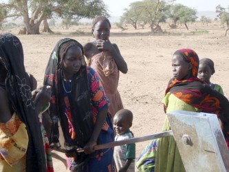 Displaced people in the bush