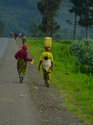 Carrying water home
