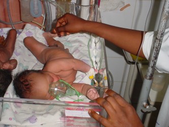 A newborn is nursed in an incubator