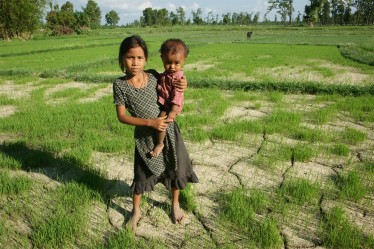 A dried out paddy field (Credit: Chris Martin)