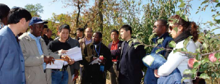 African delegation in China