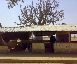 Decrepit classroom under a baobab tree, Riming ado Local Government Authority, Kano State (2008)