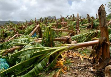 Hurricane Dean, 2007: St Lucia and Martinique