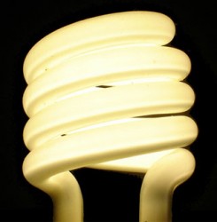 Low energy bulbs are one way individuals can reduce their carbon emissions. (Credit: Joe Colburn)