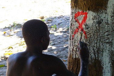 Look to the future - one of the publicity images used to raise awareness this week (Credit: UNAIDS Mozambique)