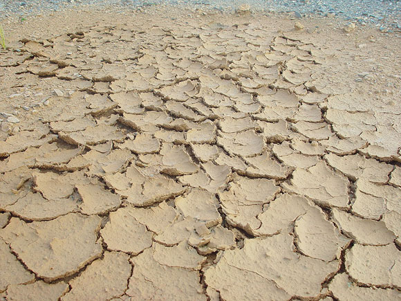 Photo of dry earth