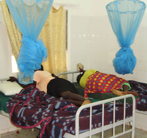 Photo of two women in bed with new born babies and be nets