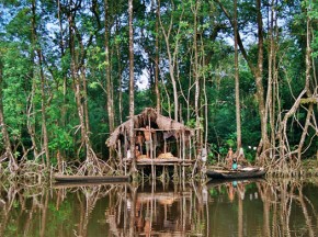 Mangroves –a key coastal protection adaptation strategy for some but home for others.