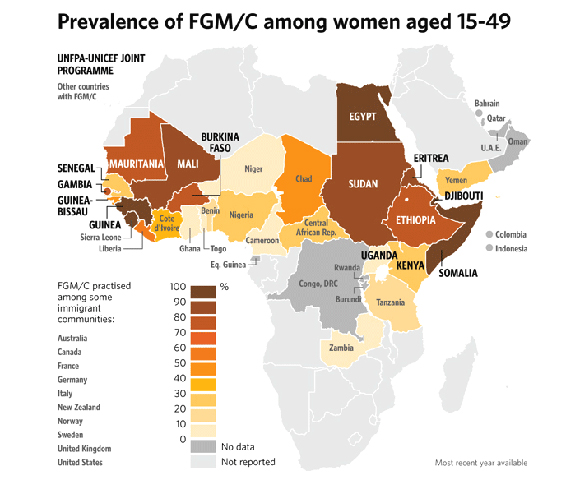 Prevalence of FGM/C among women aged 15-49. Credit: UNFPA-UNICEF Joint Programme.