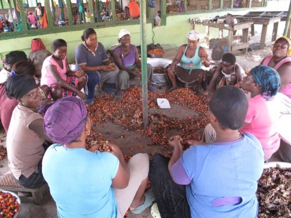 Women at work sorting the palm fruits. Picture: Henry Donati/DFID