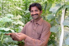 Muhammad Sajid, 25, who is now a successful farmer thanks to the training he received on growing seasonal vegetables. Picture: Punjab Skill Development Fund (PSDF)