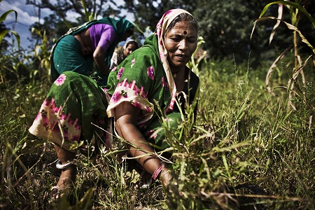 Women working in the fields. Picture: Zackary Canepari/Panos