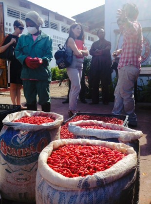 Lynne Featherstone at Elephant Pepper, a commercial farm hub for chillies grown by local community farmers in a grower network. Picture: Julia Smith/DFID