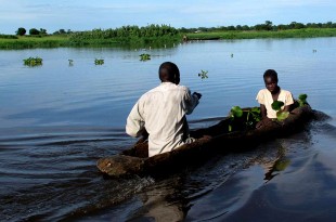 Looking across the river to Ethiopia from Akobo. Picture: Henry Donati/DFID