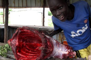 The market in Akobo. Picture: Henry Donati/DFID