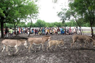 The queue for food distribution in Akobo. Picture: Henry Donati/DFID