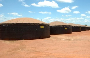 Grain storage at the Commercial Agricultural Company in Catandica. Picture: Sophie Newman/DFID